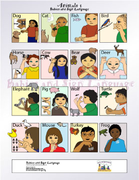 image of baby signing poster showing illustrated toddlers signing the sign for different animals