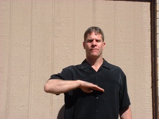 Baby sign language full