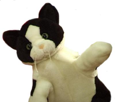Sing and Sign's Jessie Cat