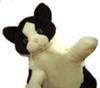 Sing and Sign's Jessie Cat